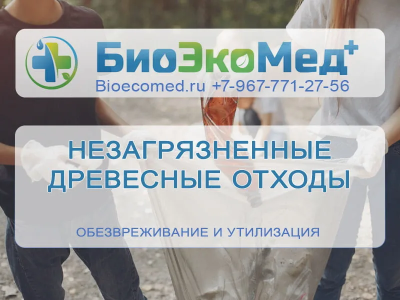 Незагрязненные древесные отходы